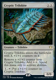 Cryptic Trilobite